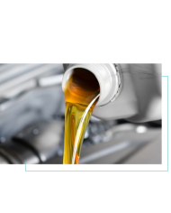 U25.3@ - Vernice-Adesivi-Vetri-Coprisedili-Carrozzeria